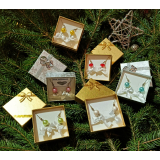 Náušničky v krabičce - bílá