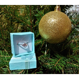 Prstýnek v modré krabičce