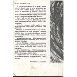 MAKROBIOTIKA ŘÁD VESMÍRU