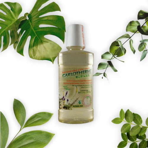 CARLOTHERM Kräuter-Mundspülung mit Kräuterextrakten (275 ml)