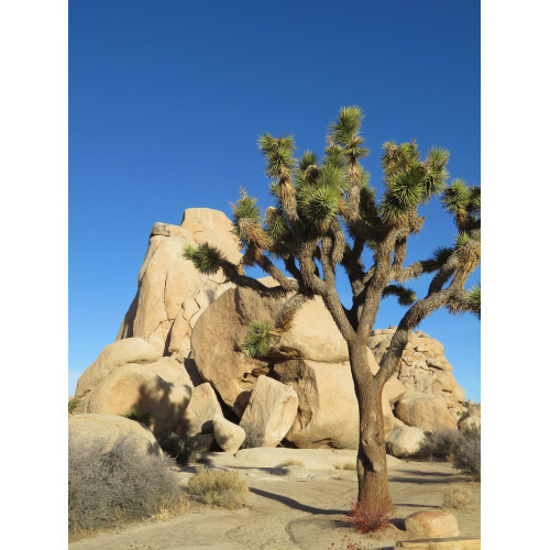 Od Atlantiku k Pacifiku