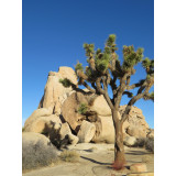 Od Atlantiku k Pacifiku