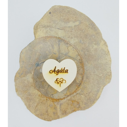 Srdce Agáta - 14. října