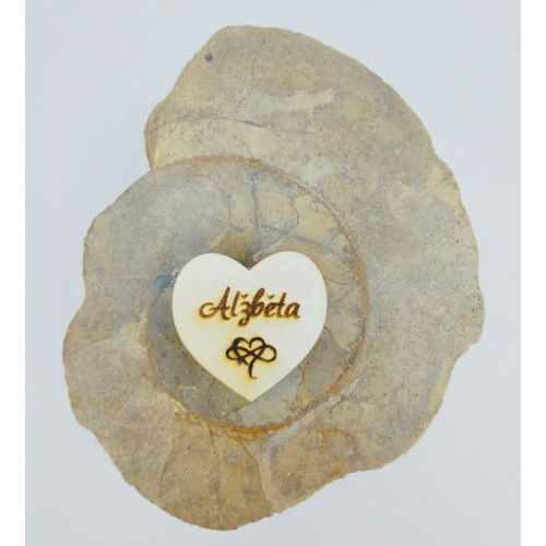 Alžběta - 19. listopadu