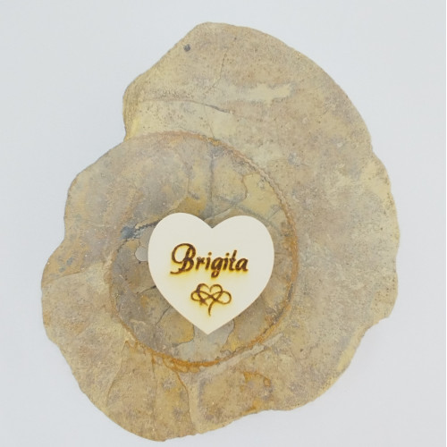 Srdce Brigita - 21.Říjen