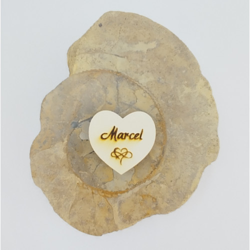 Srdce Marcel - 12. října