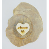 Srdce Marcela - 20. dubna