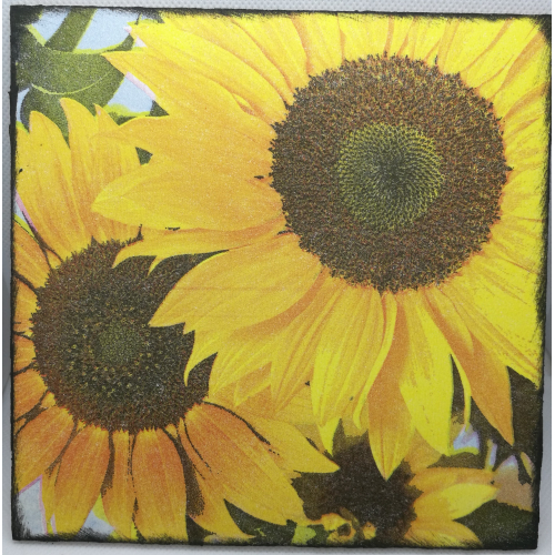 Obrázek z dřevěné překližky Květiny, 16 cm
