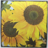 Obrázek z dřevěné překližky Květiny, 16 cm