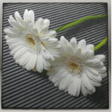 Obrázek z dřevěné překližky Květiny, 16 cm