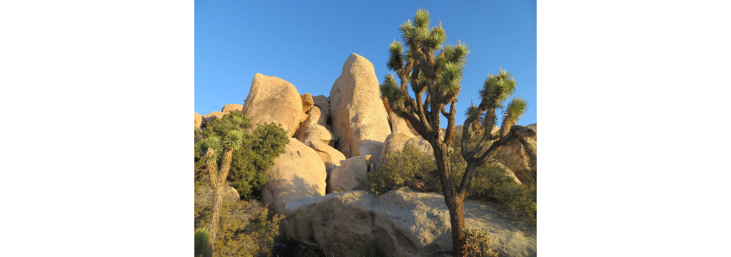 Jedinečný cestopis